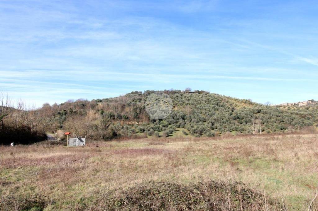 azienda agricola in vendita a Montelibretti