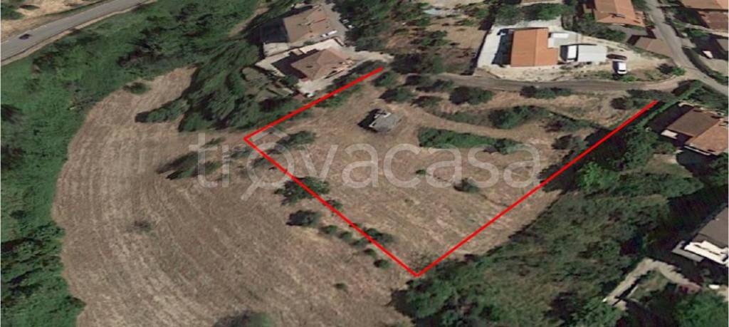 terreno agricolo in vendita a Montelibretti
