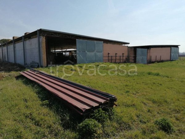appartamento in vendita a Montelibretti