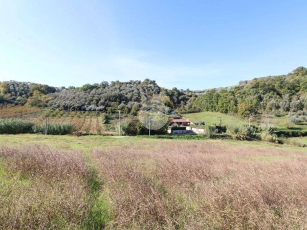 terreno agricolo in vendita a Montelibretti