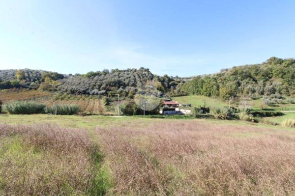 azienda agricola in vendita a Montelibretti