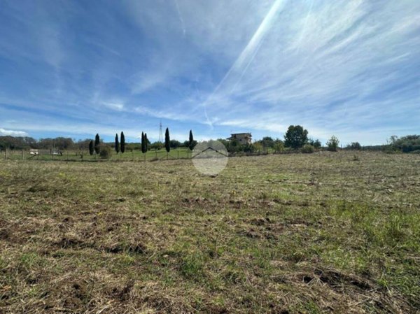 terreno agricolo in vendita a Montelibretti