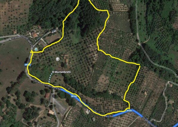 terreno agricolo in vendita a Montelibretti