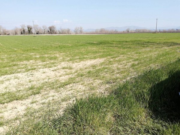 terreno agricolo in vendita a Montelibretti