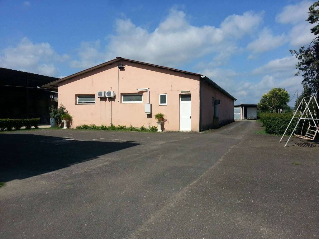 casa indipendente in vendita a Montelibretti