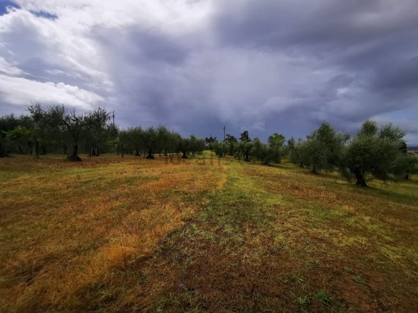terreno edificabile in vendita a Montelibretti