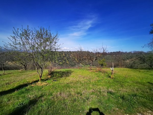 terreno agricolo in vendita a Montelibretti