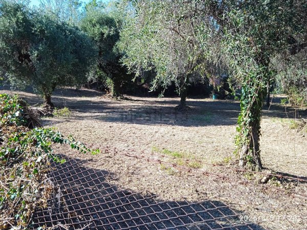 terreno edificabile in vendita a Montelibretti