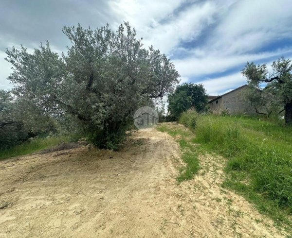 casa indipendente in vendita a Montelibretti