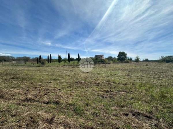 terreno agricolo in vendita a Montelibretti