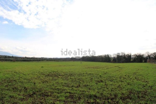 terreno agricolo in vendita a Montelibretti
