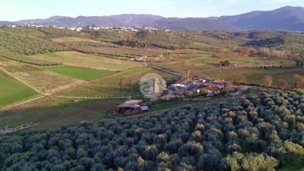 terreno agricolo in vendita a Montelibretti