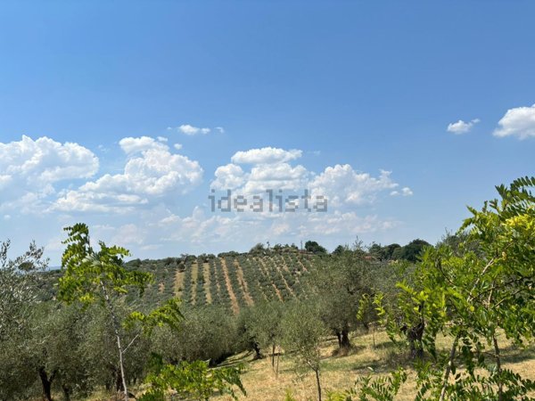 terreno agricolo in vendita a Montelibretti