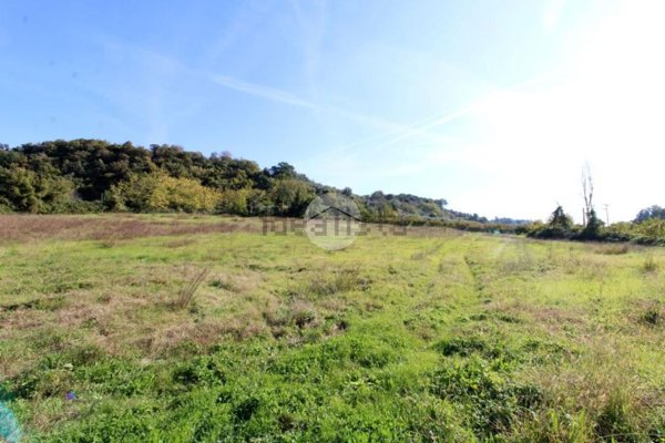 terreno agricolo in vendita a Montelibretti