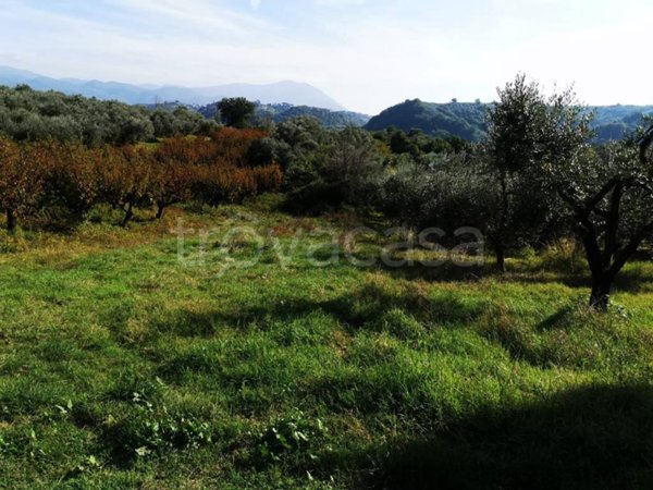 terreno agricolo in vendita a Montelibretti