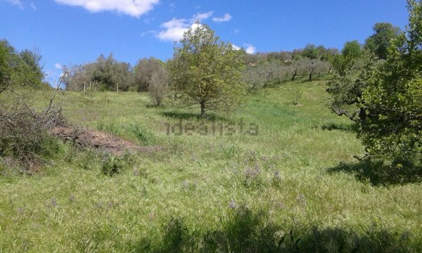 terreno agricolo in vendita a Montelibretti in zona Borgo Santa Maria