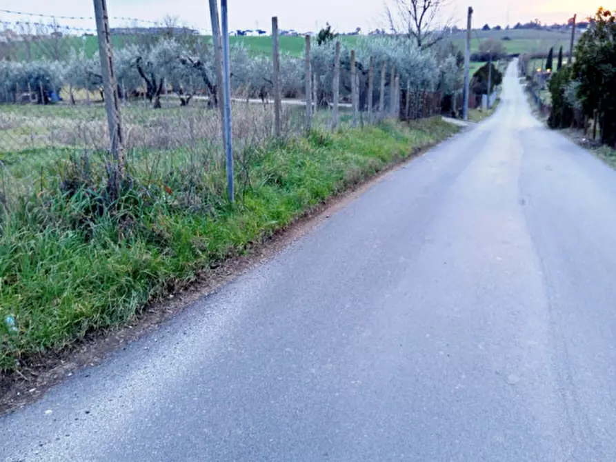 immagine annuncio 0 di 1