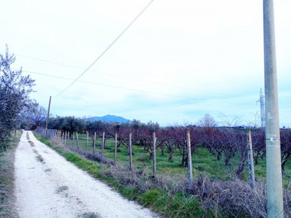 casale in vendita a Montelibretti