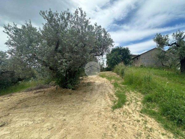 terreno agricolo in vendita a Montelibretti