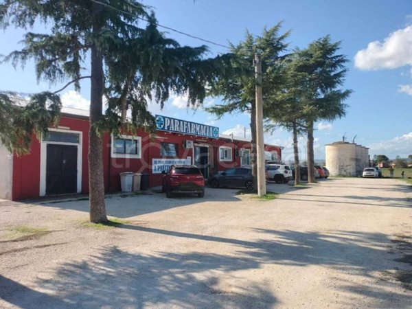 negozio in vendita a Montelibretti