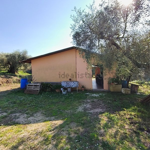 appartamento in vendita a Montelibretti