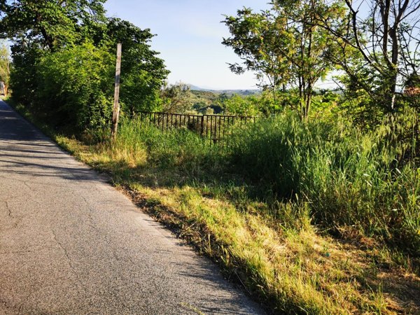 terreno agricolo in vendita a Montelibretti