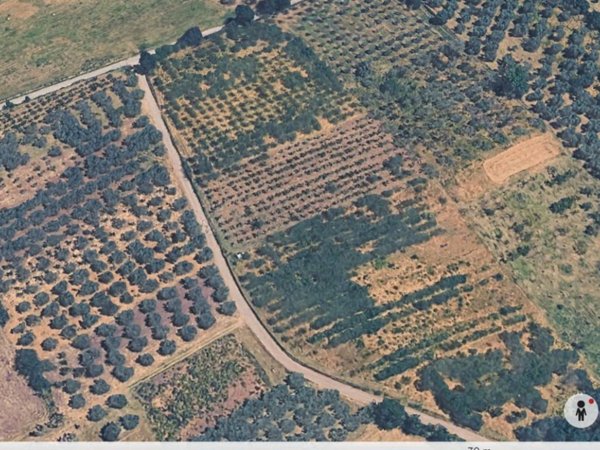 terreno agricolo in vendita a Montelibretti
