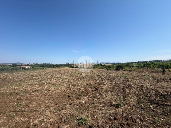 terreno agricolo in vendita a Montelibretti