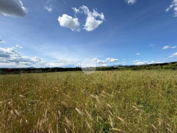 terreno agricolo in vendita a Montelibretti in zona Borgo Santa Maria