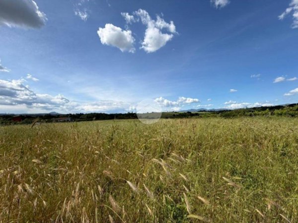 terreno agricolo in vendita a Montelibretti in zona Borgo Santa Maria