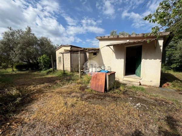 casa indipendente in vendita a Montelibretti in zona Borgo Santa Maria