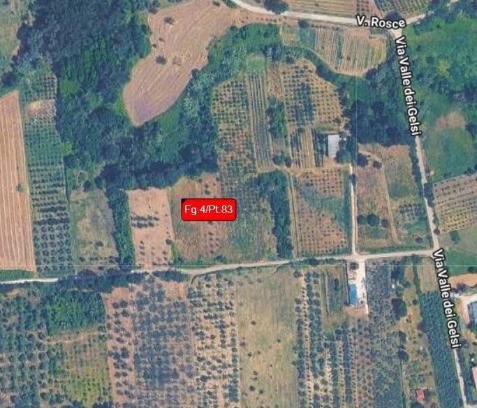 terreno agricolo in vendita a Montelibretti in zona Borgo Santa Maria