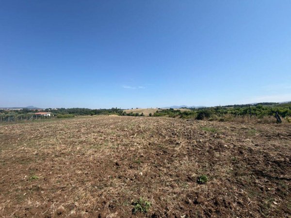 terreno agricolo in vendita a Montelibretti in zona Borgo Santa Maria