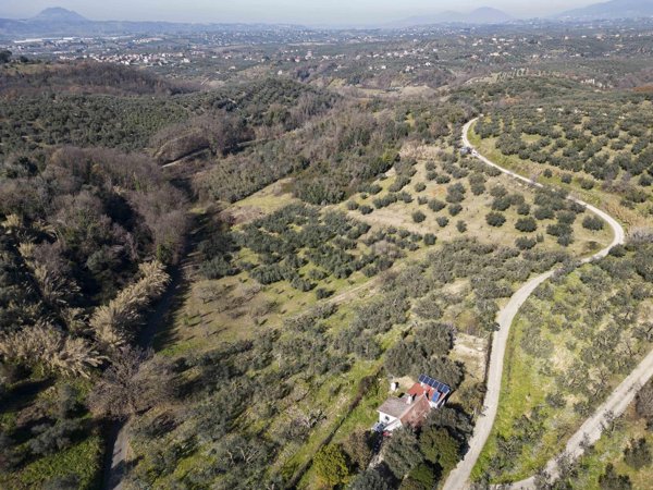 terreno in vendita a Montelibretti in zona Borgo Santa Maria