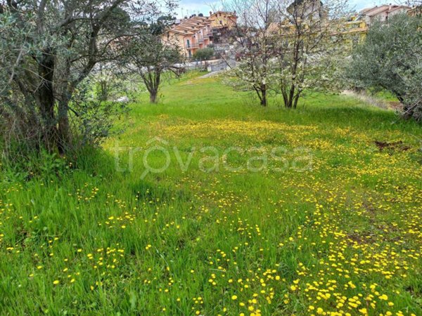 terreno agricolo in vendita a Monte Porzio Catone