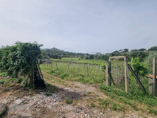 terreno agricolo in vendita a Monte Porzio Catone