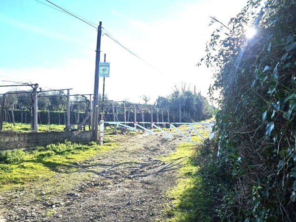 terreno agricolo in vendita a Monte Porzio Catone in zona Fontana Candida