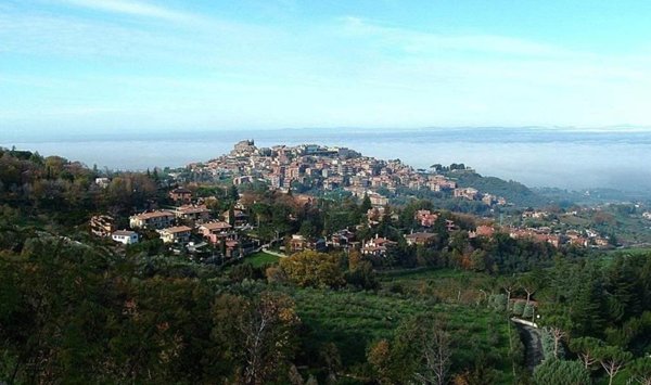 negozio in vendita a Monte Porzio Catone
