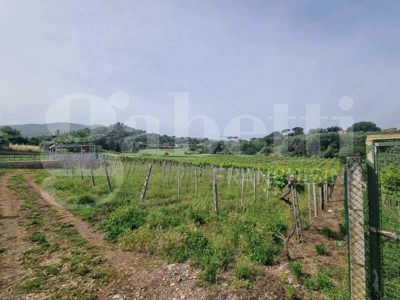 terreno agricolo in vendita a Monte Porzio Catone