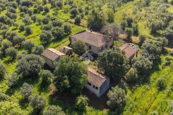 appartamento in vendita a Monte Porzio Catone