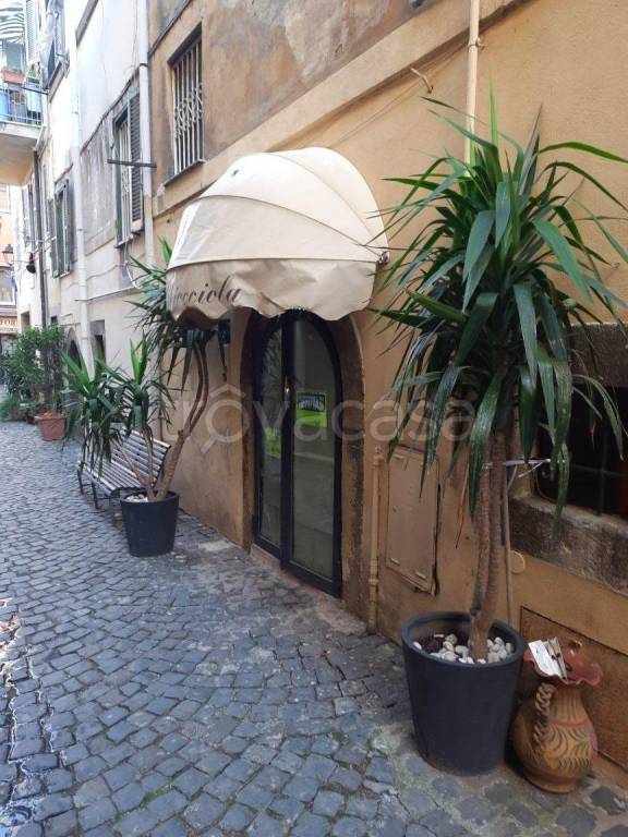 negozio in vendita a Monte Porzio Catone