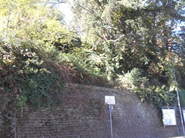 terreno agricolo in vendita a Monte Porzio Catone
