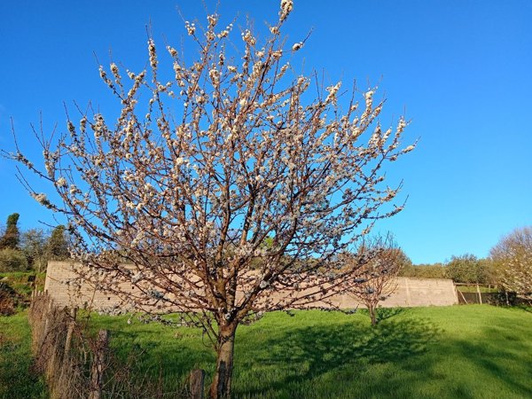 terreno agricolo in vendita a Monte Porzio Catone
