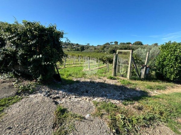 ufficio in vendita a Monte Porzio Catone in zona Massarosa