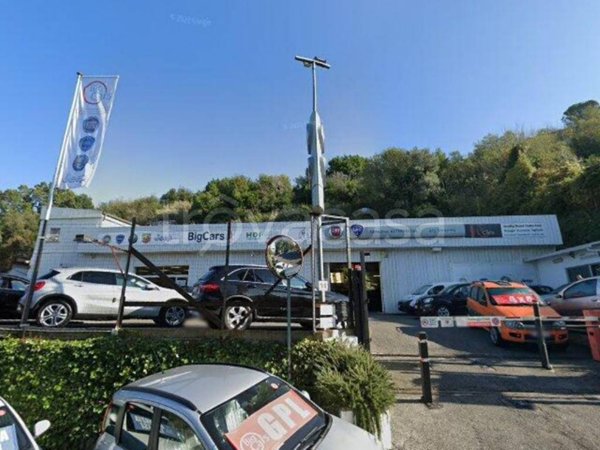 terreno agricolo in vendita a Monte Porzio Catone in zona Pilozzo