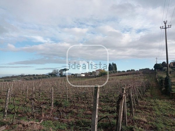 casa indipendente in vendita a Monte Porzio Catone in zona Massarosa