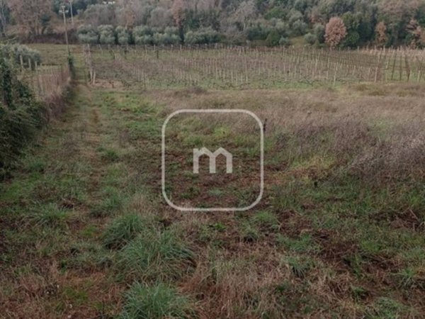 terreno edificabile in vendita a Monte Porzio Catone in zona Massarosa