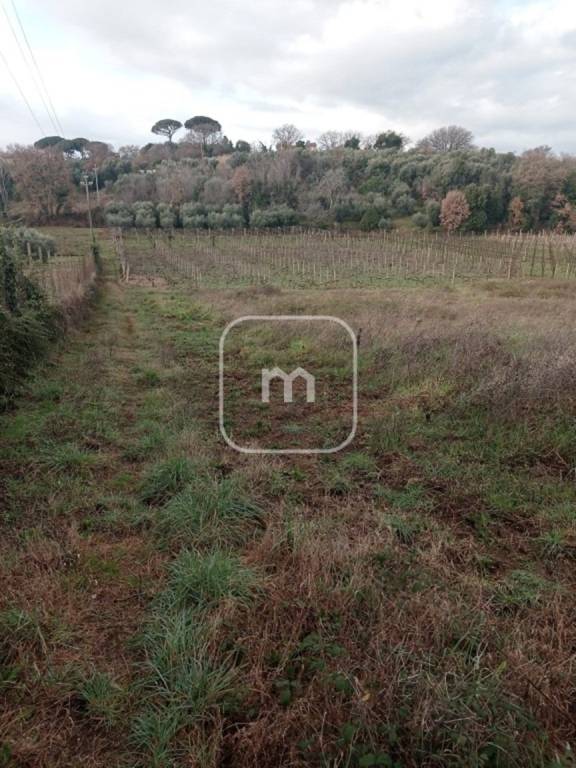 casa indipendente in vendita a Monte Porzio Catone in zona Massarosa