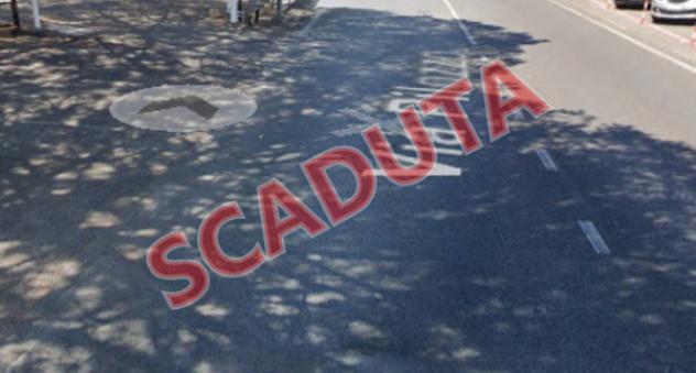 terreno agricolo in vendita a Monte Porzio Catone in zona Pilozzo