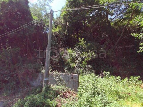 appartamento in vendita a Monte Porzio Catone